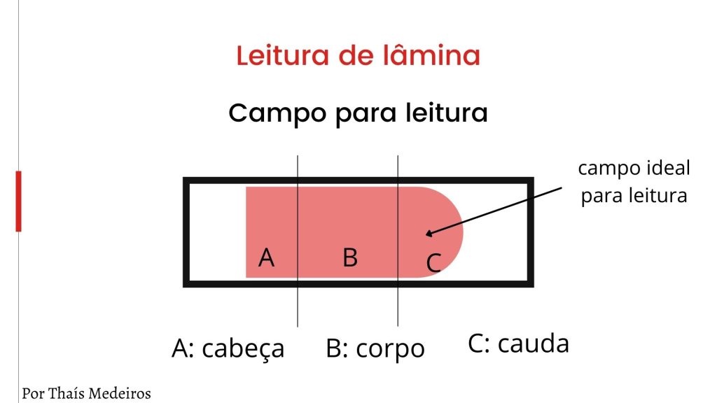 Como ler laminas hematológicas esfregaço sanguineo