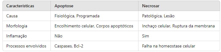 explicação de apoptose e necrose