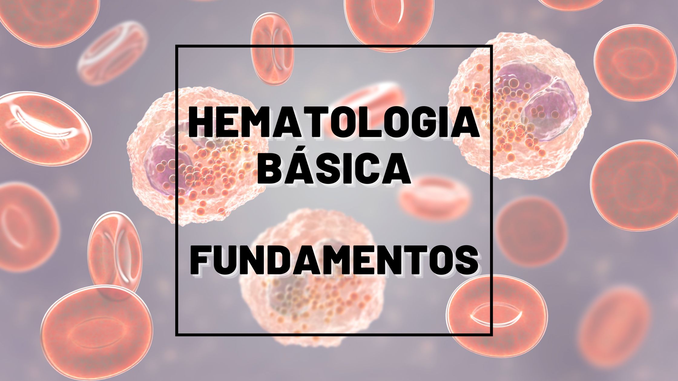 Hematologia Básica - Fundamentos da Hematologia