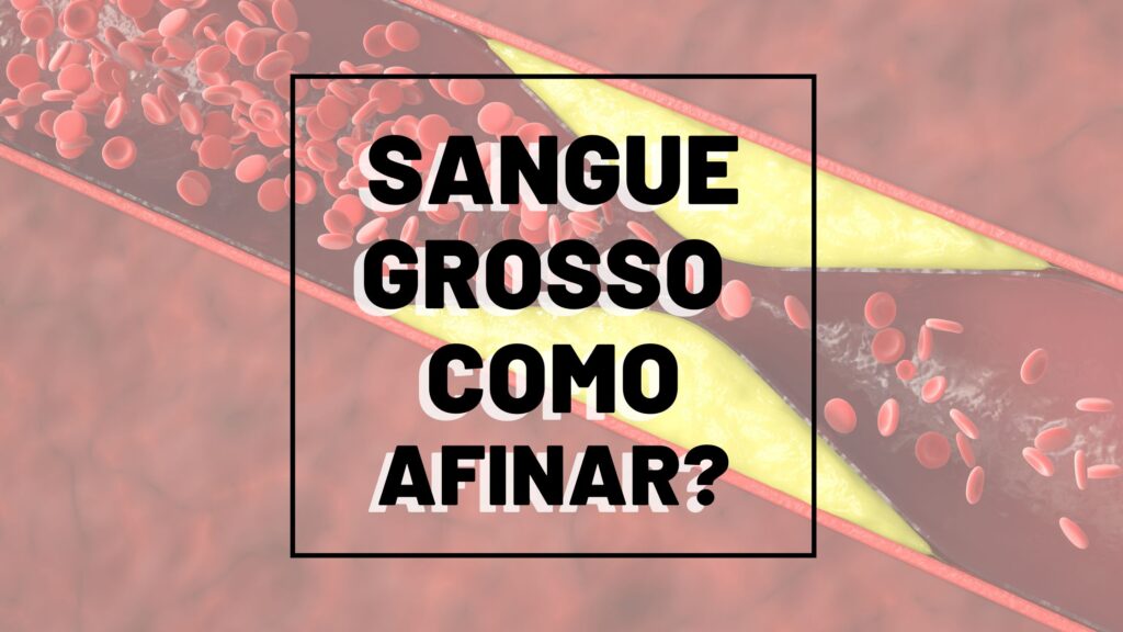 Sangue Grosso: Como Afinar o Sangue para Evitar Trombose - Hematologia ...