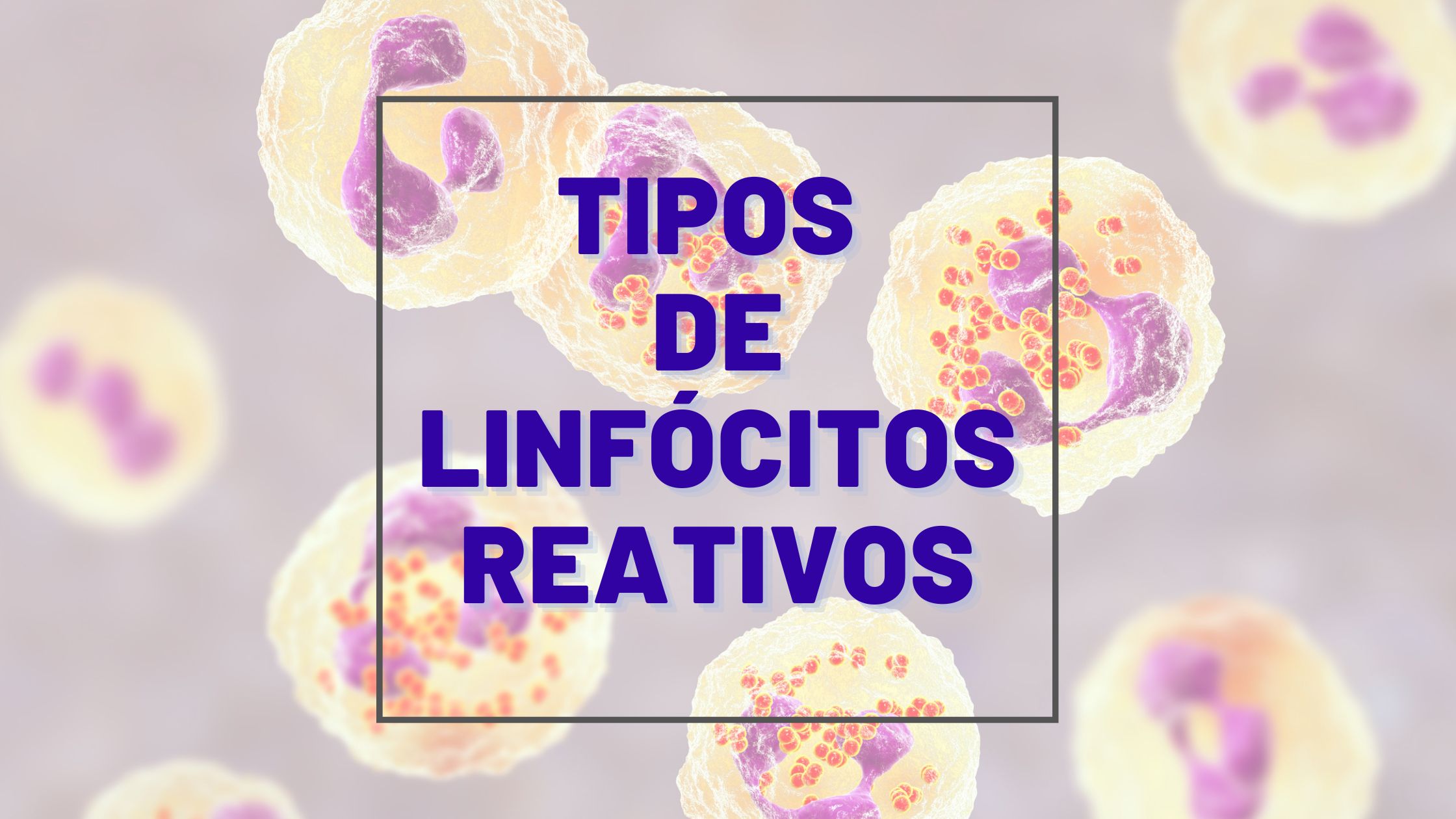 tipos de linfócitos reativos