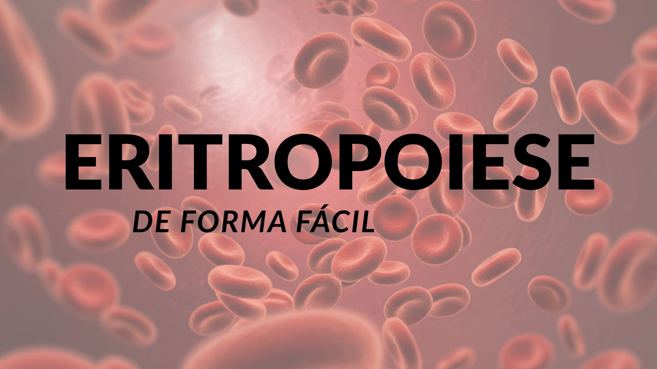 Eritropoiese: A Produção de Hemácias de Forma Fácil e Completa